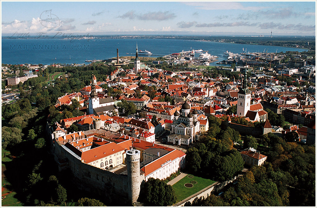 Toompea and the old town of Tallinn from above